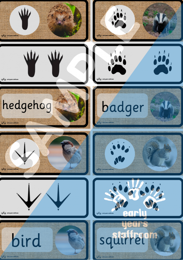 animal-footprints-word-cards-forest-school-eys