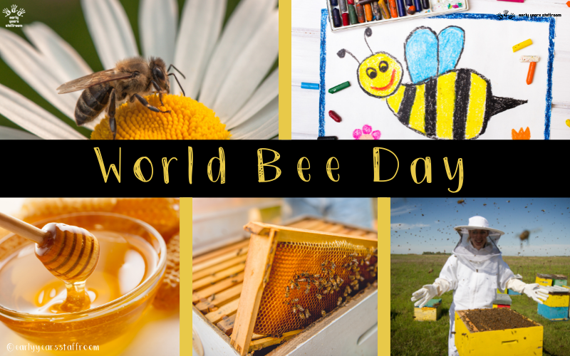 World Bee Day Celebrated on 20th May Each Year Download Resources