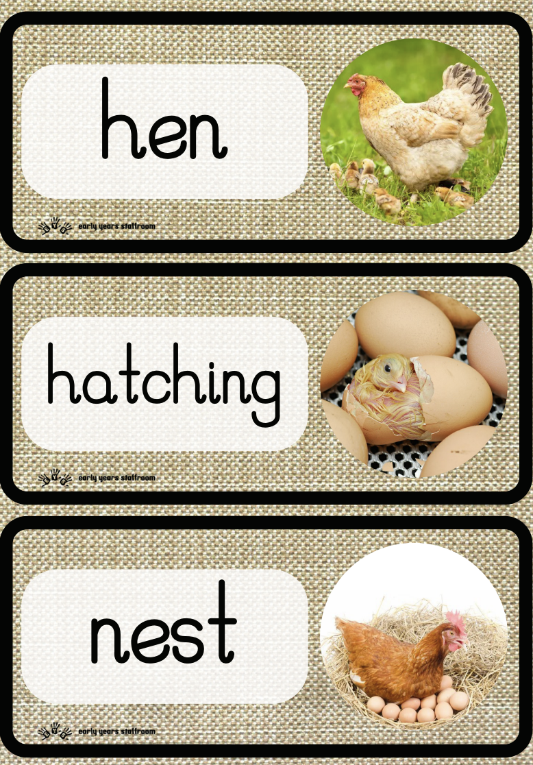 life-cycle-of-a-chick-word-cards-early-years-staffroom