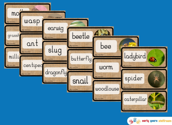 Minibeasts Themed Word Cards | Outdoor Play | Early Years